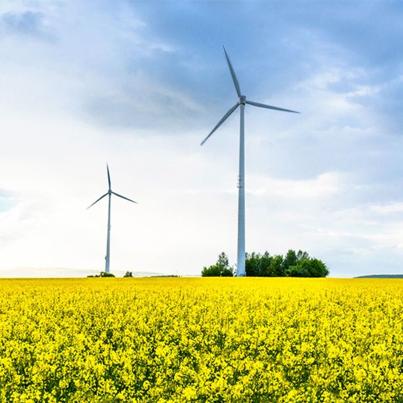 Players e autoridades debatem o avanço da transição energética no Brasil